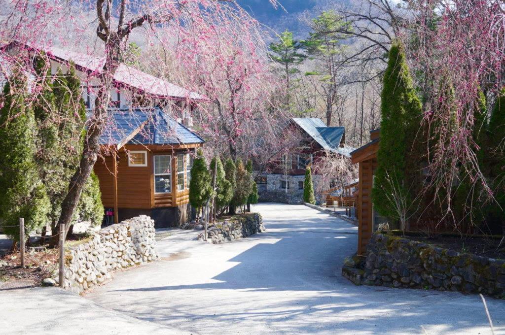 Hakuba Canadian Lodge Exterior foto