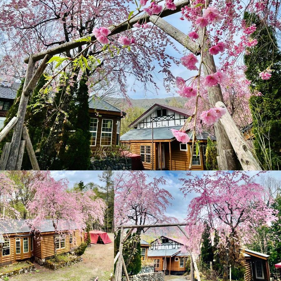 Hakuba Canadian Lodge Exterior foto